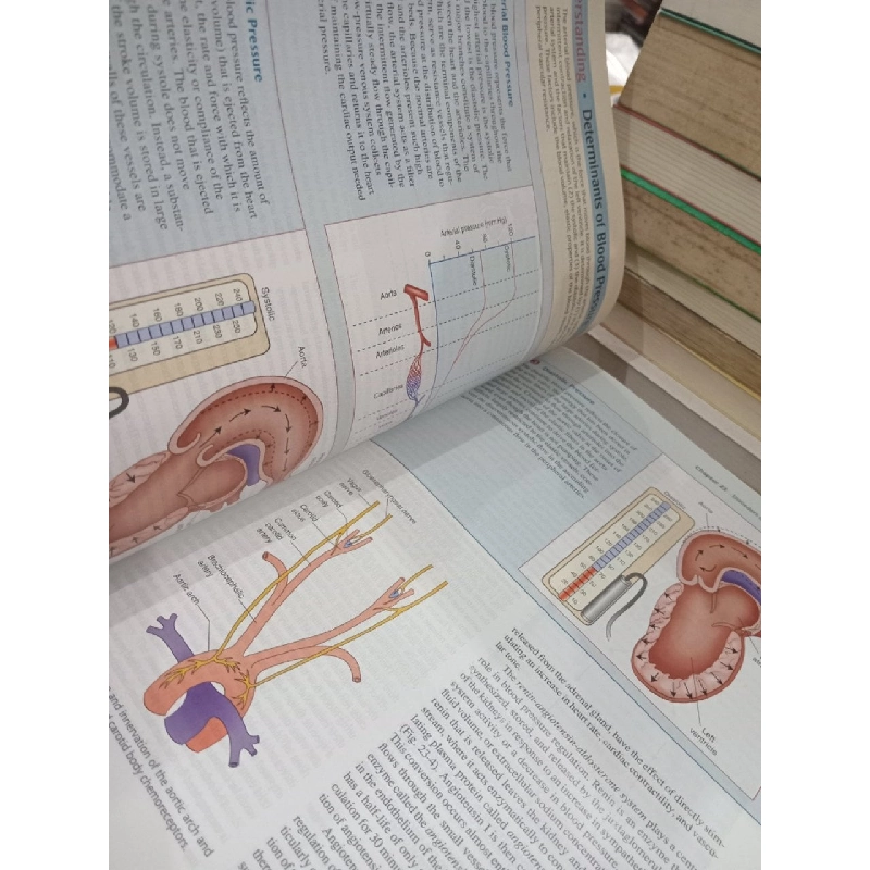 Pathophysiology: Concepts of Altered Health States - C. M. Porth, G. Matfin 792226