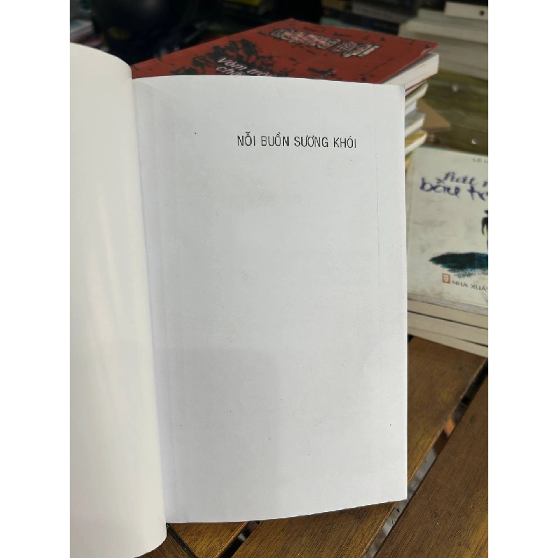 Nỗi Buồn Sương Khói - Cao Chiếm - Cao Chiếm 961016