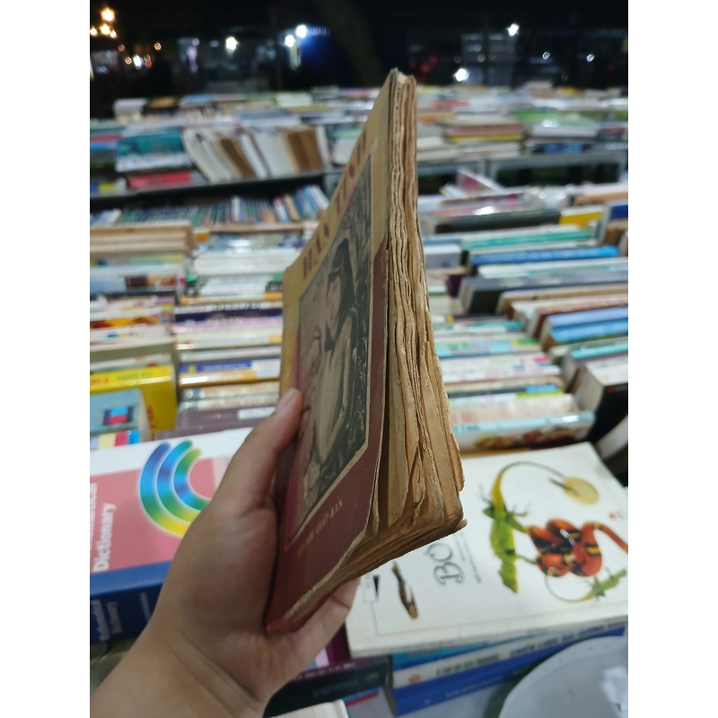 HẬN TÌNH - HOÀI LÂN 546491