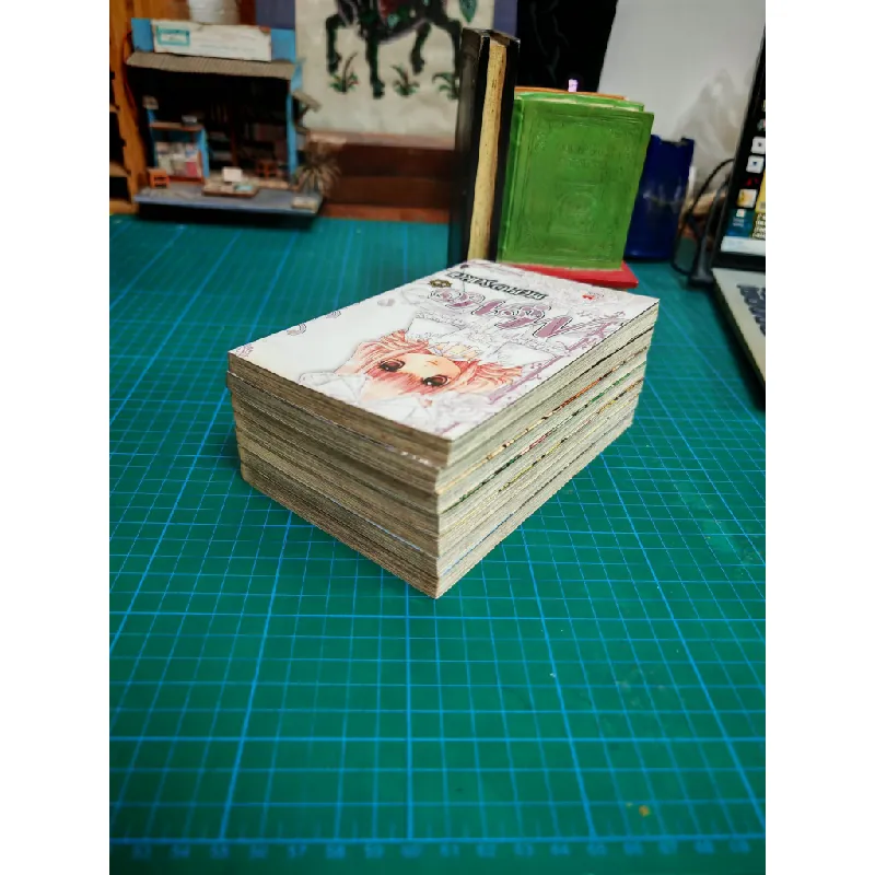 Truyện Tranh Mono - Mayu Sakai 716373