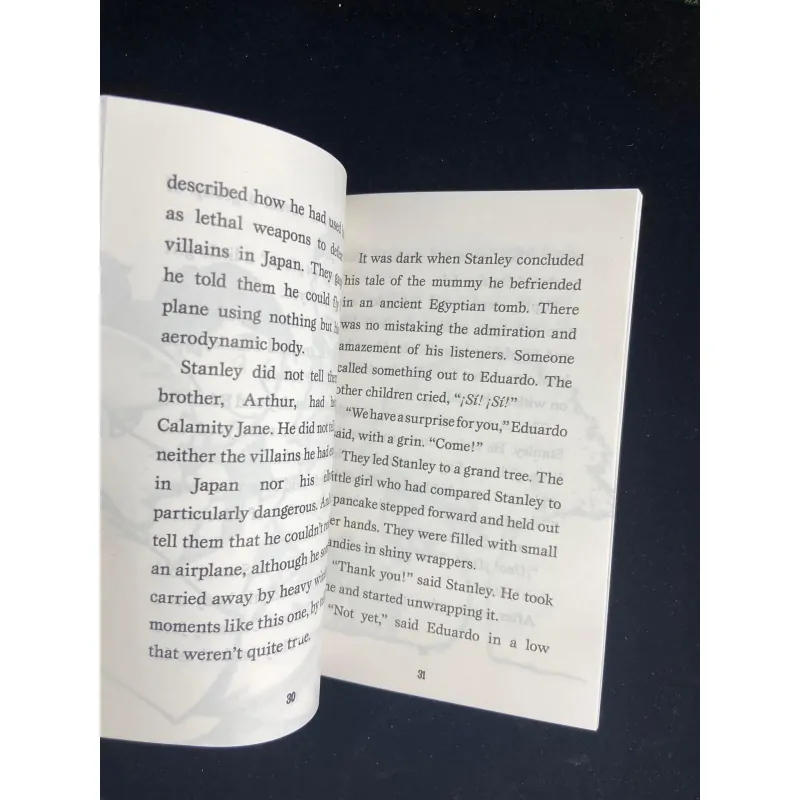 The Flat Stanley Collection - No box - 19 quyển 747129