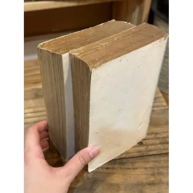 Anna Karenina - Lev Tolstoy 730934