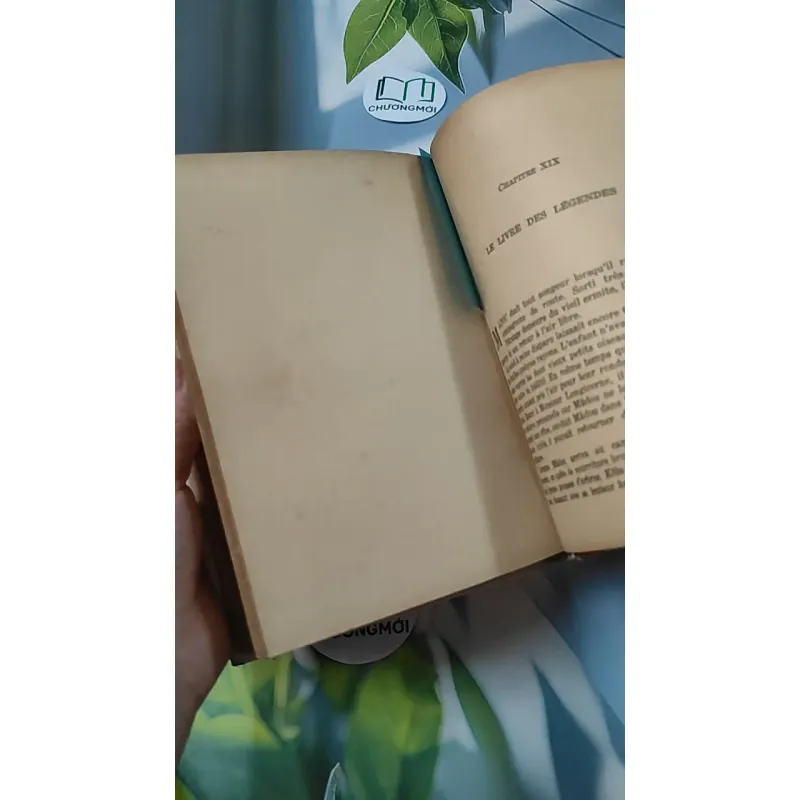 [MIỄN PHÍ BỌC SÁCH] En mission chez les bêtes - Pâquerette de Quénetain 749582