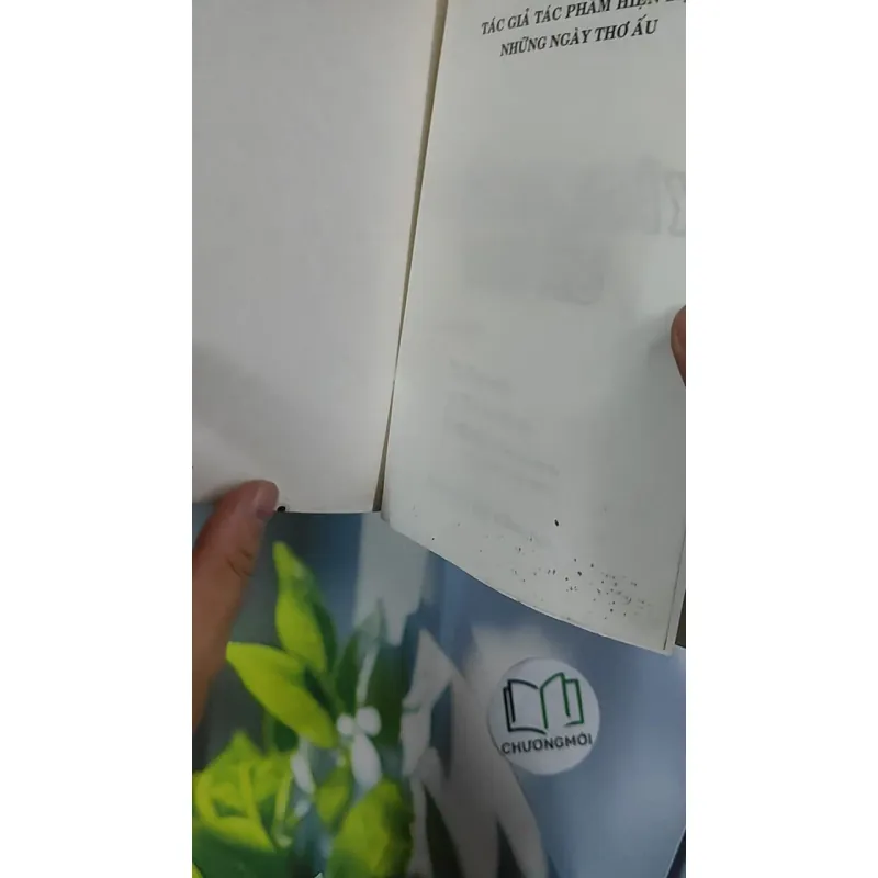 Những Ngày Thơ Ấu - Nguyên Hồng 798480