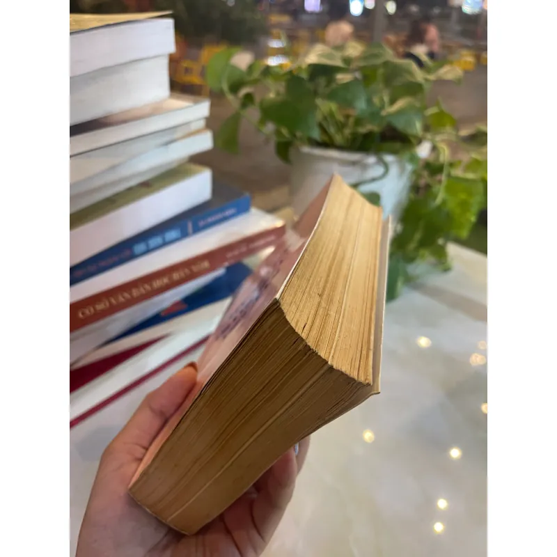 TÍN NGƯỠNG THÀNH HOÀNG VIỆT NAM - NGUYỄN DUY HINH  1027533