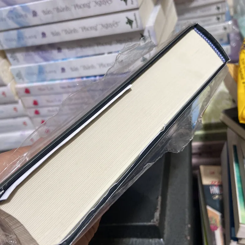 (Văn học kinh điển) - Nhà thờ đức bà Paris - Victor Hugo 1005083