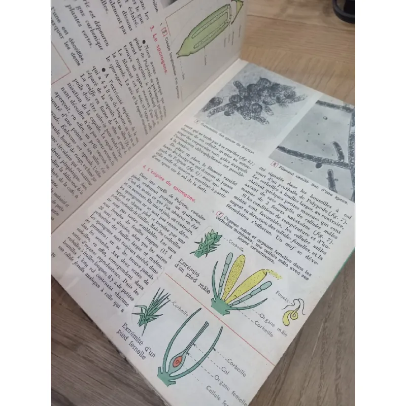 Sciences naturelles 5e 598350