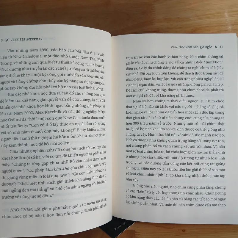 Chim Chóc Chưa Bao Giờ Ngốc - Jennifer Ackerman 739569