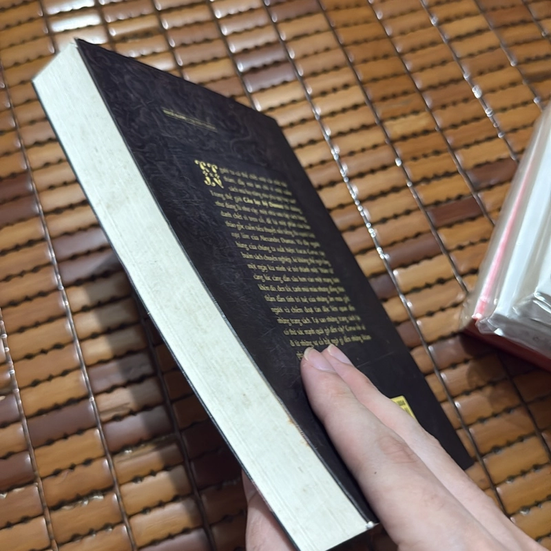 Câu lạc bộ Dunas - Arturo Perez - Reverte 530981