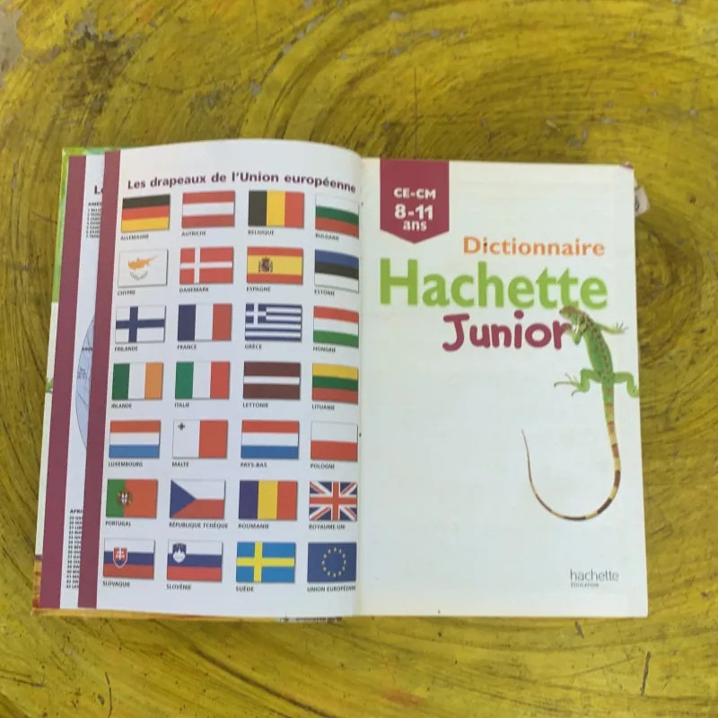 DICTIONNAIRE HACHETTE JUNIOR 761502