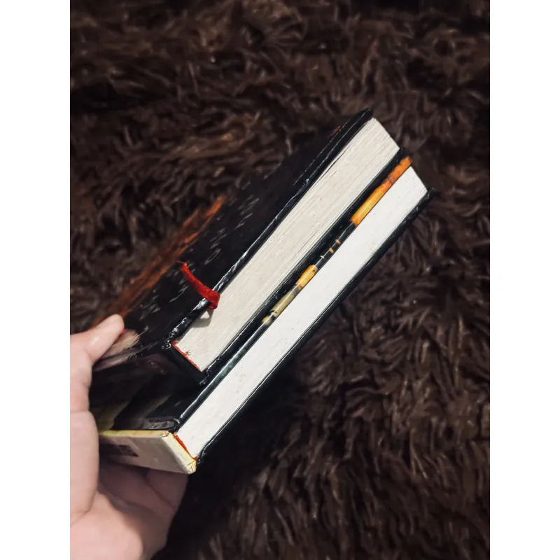 Combo 2 cuốn văn học Việt Nam (bìa cứng) 995033