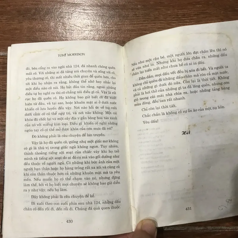 Người yêu dấu (8) 323047