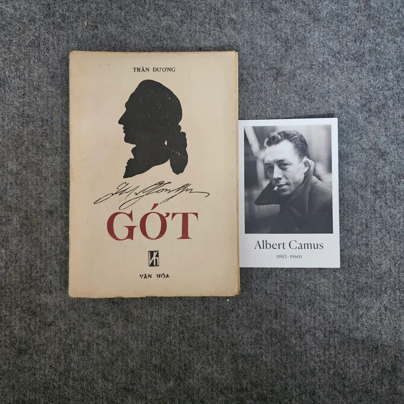 Johann Wolfgang von Goethe - trần dương 1025044