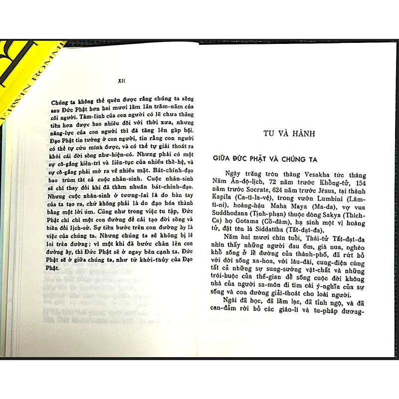 ĐỨC PHẬT GIỮA CHÚNG TA - TRẦN NGỌC NINH 1022037