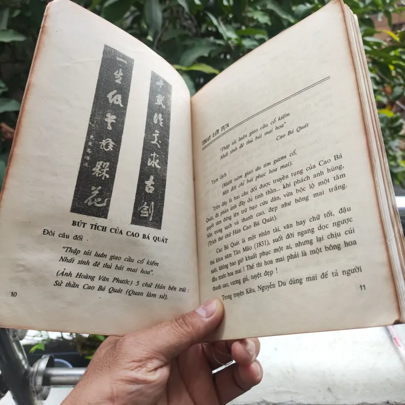 Kỹ Thuật Trồng Và Ghép Mai - Huỳnh Văn Thới 928913