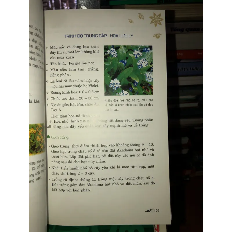 Phương pháp trồng 100 loài hoa trong chậu - Lưu Chí Tùng 785795