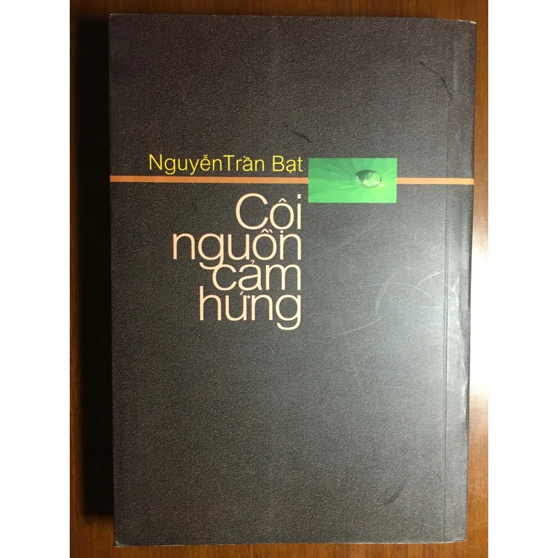 [TIỂU LUẬN - TRIẾT HỌC] Cội nguồn cảm hứng - Nguyễn Trần Bạt 571725