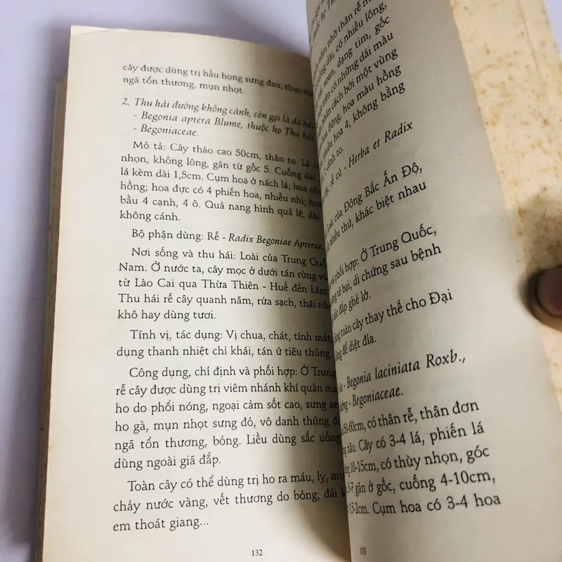 HOA QUẢ MÙA XUÂN VỪA ĐẸP VỪA NGON 693652