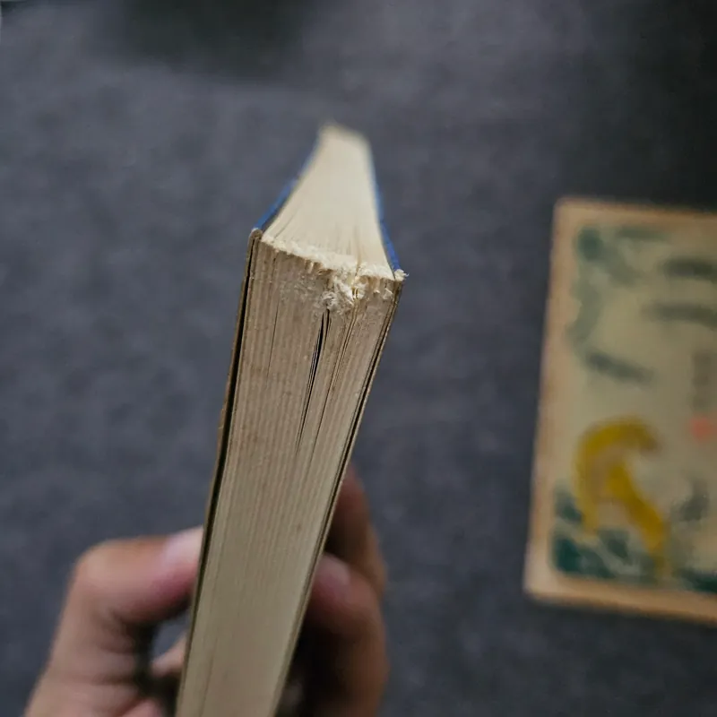 Thất lạc cõi người 733989