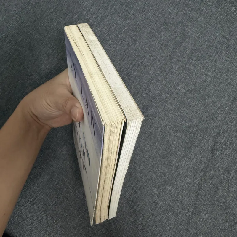 Tiểu thuyết đàn bà, Miên man tùy bút - Lý Lan 754577