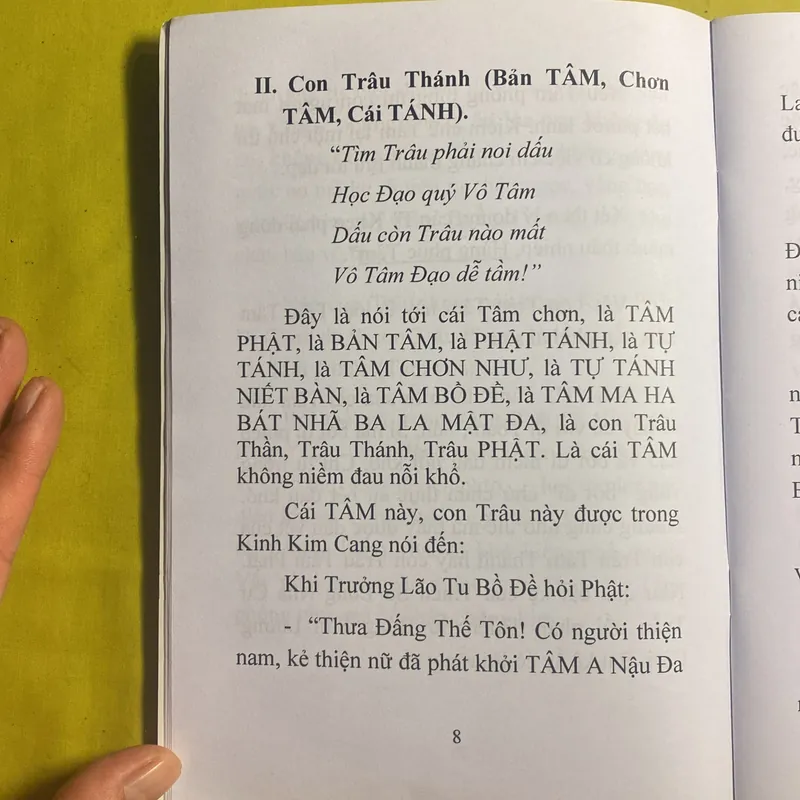 Con Trâu và Cái Tâm (Bí Lục Theo Trâu) - HT Đắc Huyền - Thích Như Phước Tú 630515