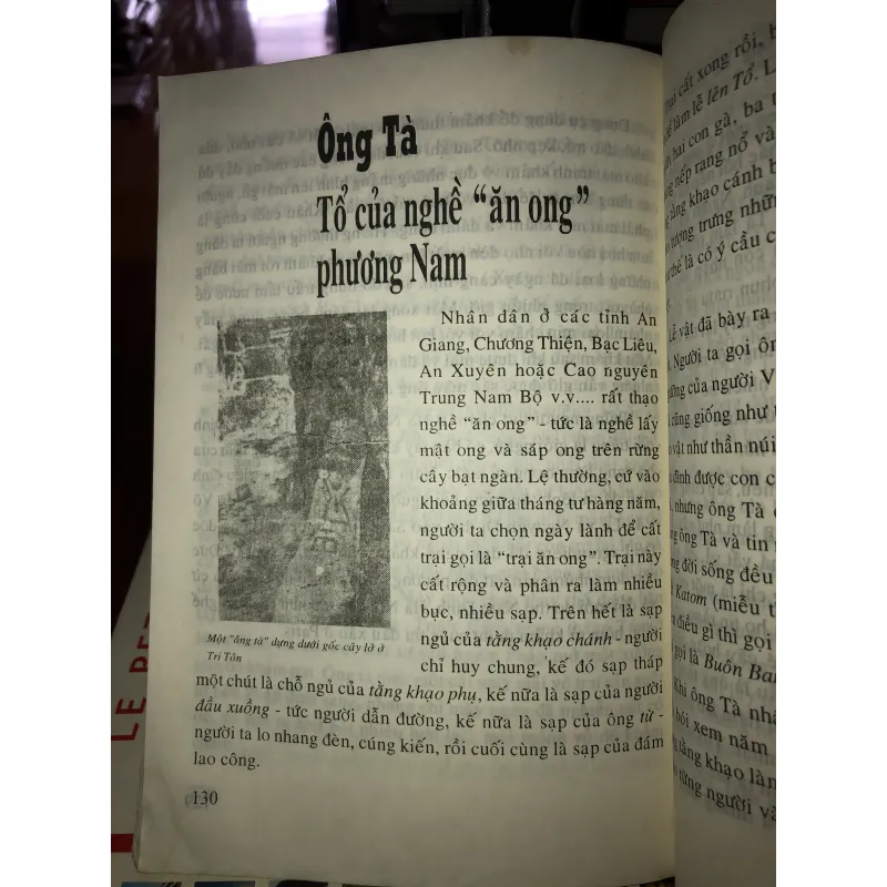 Các vị tổ ngành nghề Việt Nam - Lê Minh Quốc  933269