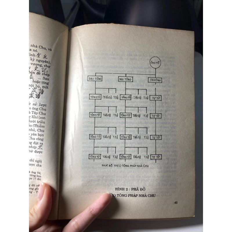 Gia phả khảo và luận 1992| Dã Lan Nguyễn Đức Dụ 496963