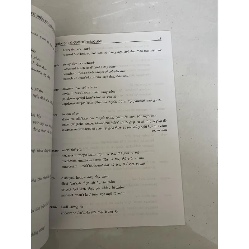 Từ điển cơ sở cuối từ tiếng anh  994673