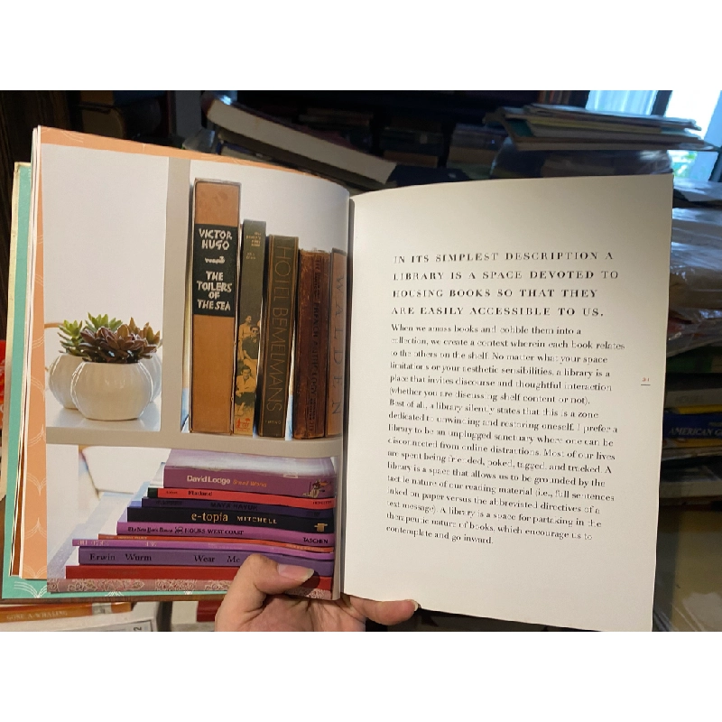 Novel Living : Collecting, Decorating, and Crafting with Books - Lisa Occhipinti 453902