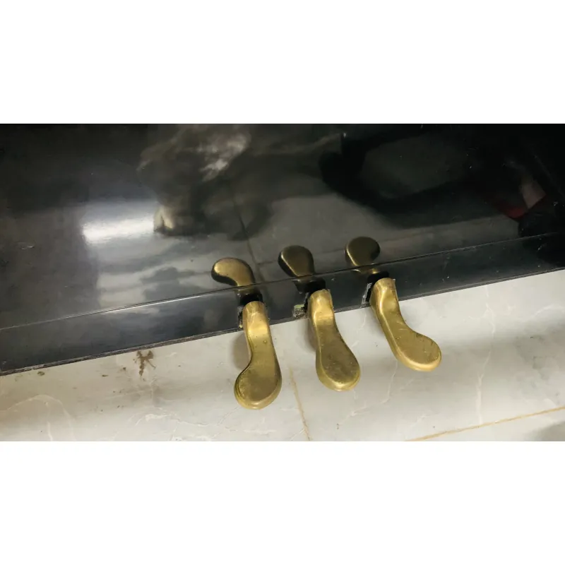 Đàn Piano Cơ của Nhật 751644