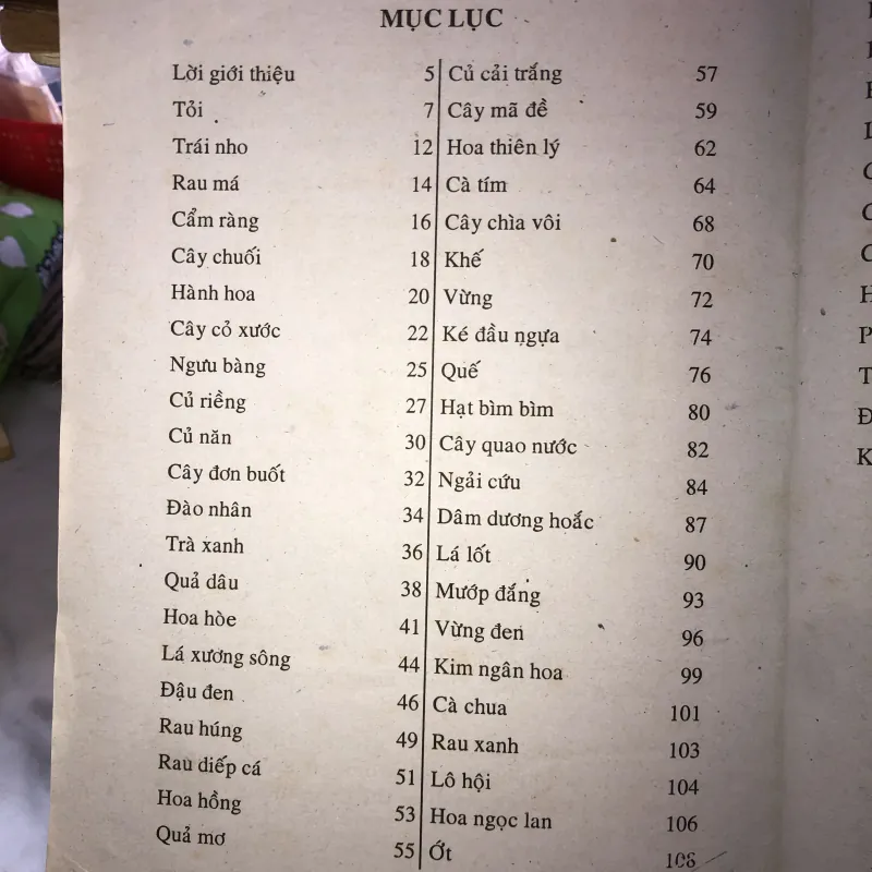 Chữa bệnh từ cây cỏ vườn nhà và bài thuốc gia truyền - Hải Quỳnh 1005367