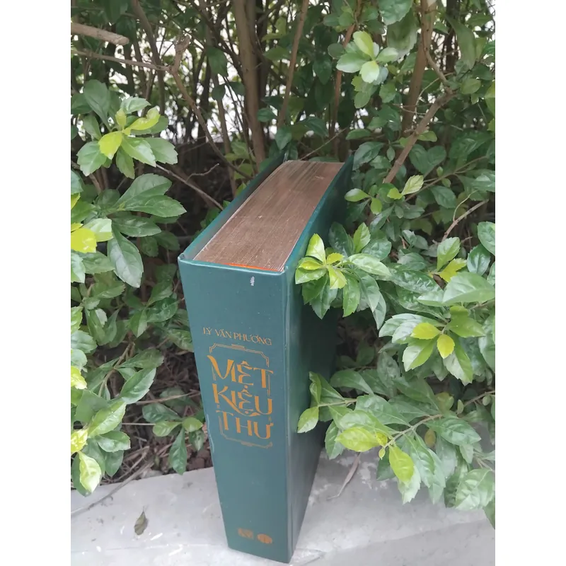 Việt kiệu thư cổ sử Việt Nam của Lý Văn Phượng  tập 2 733487