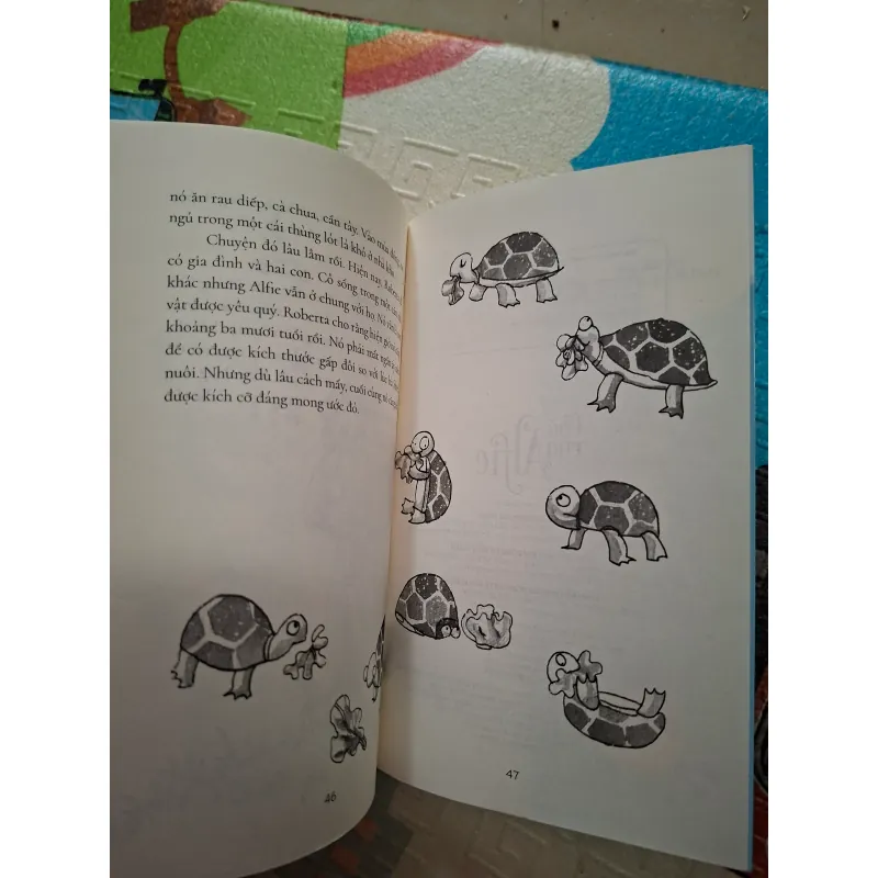 Chú rùa Alfie 966547