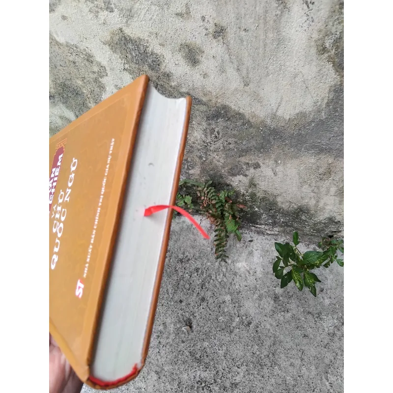 Dinh trấn Thanh Chiêm và chữ Quốc ngữ  1026084