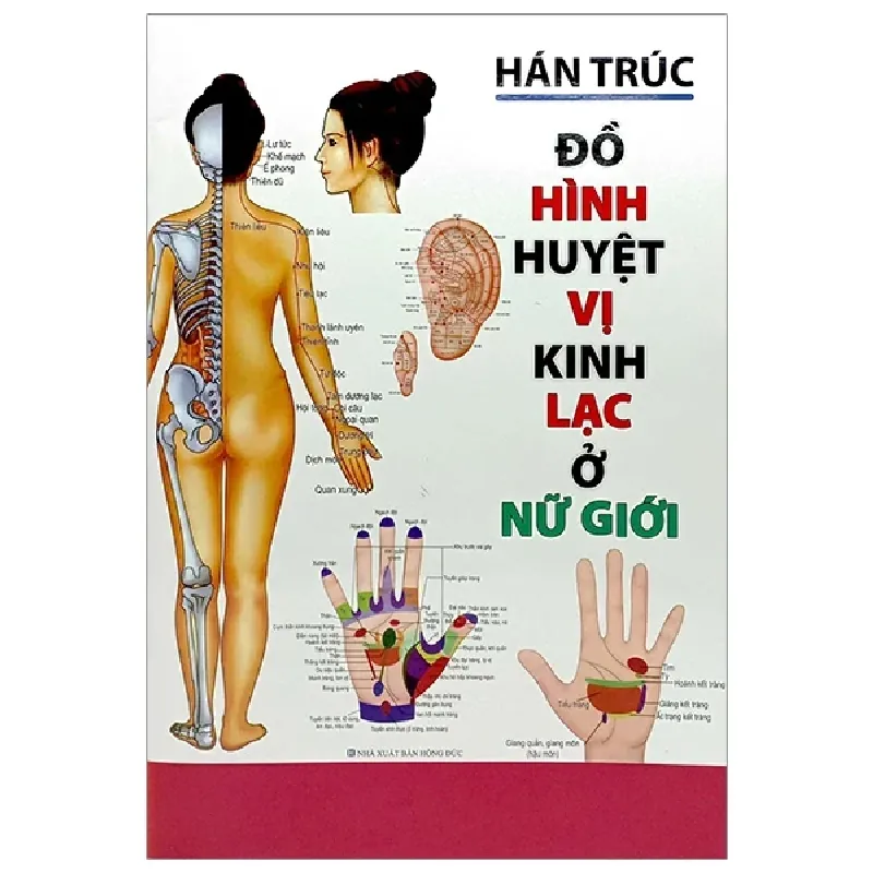 Đồ Hình Huyệt Vị Kinh Lạc Ở Nữ Giới - Hán Trúc 403530