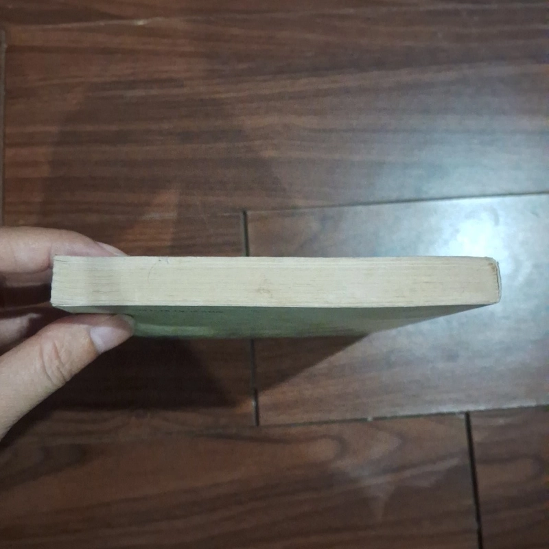 Hôn nhân trong tương lai 530261