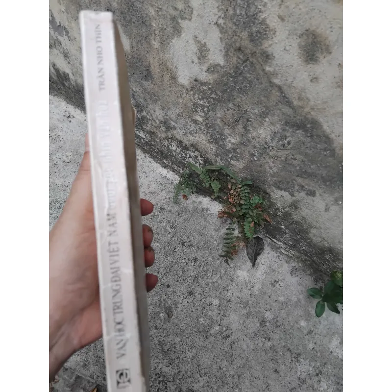 Văn học trung đại Việt Nam dưới góc nhìn văn hóa của GS Trần Nho Thìn  1022805