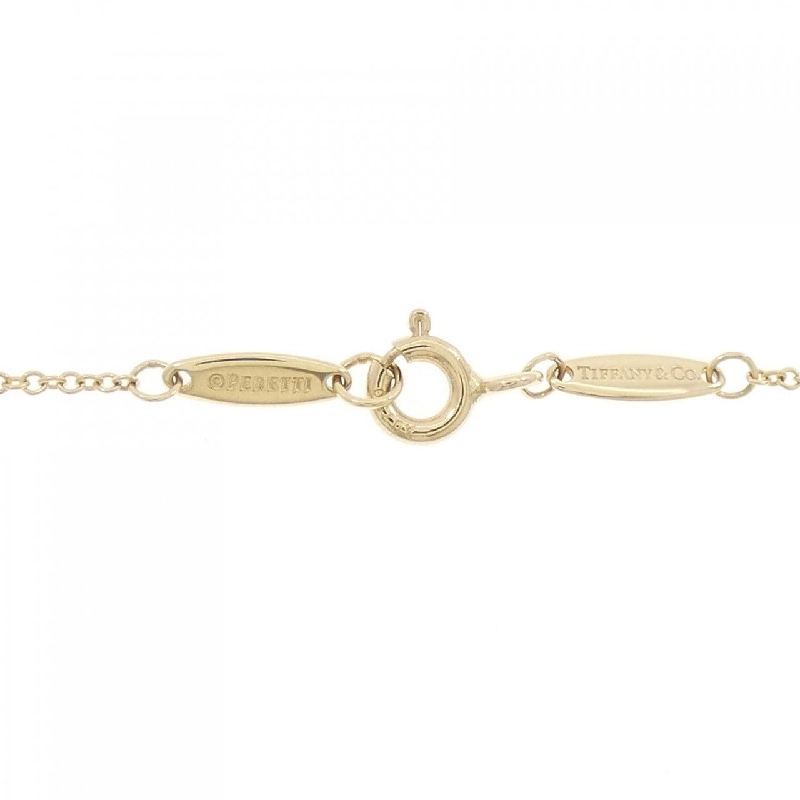 Dây chuyền Tiffany By The Yard - Hàng hiệu Authentic 843288