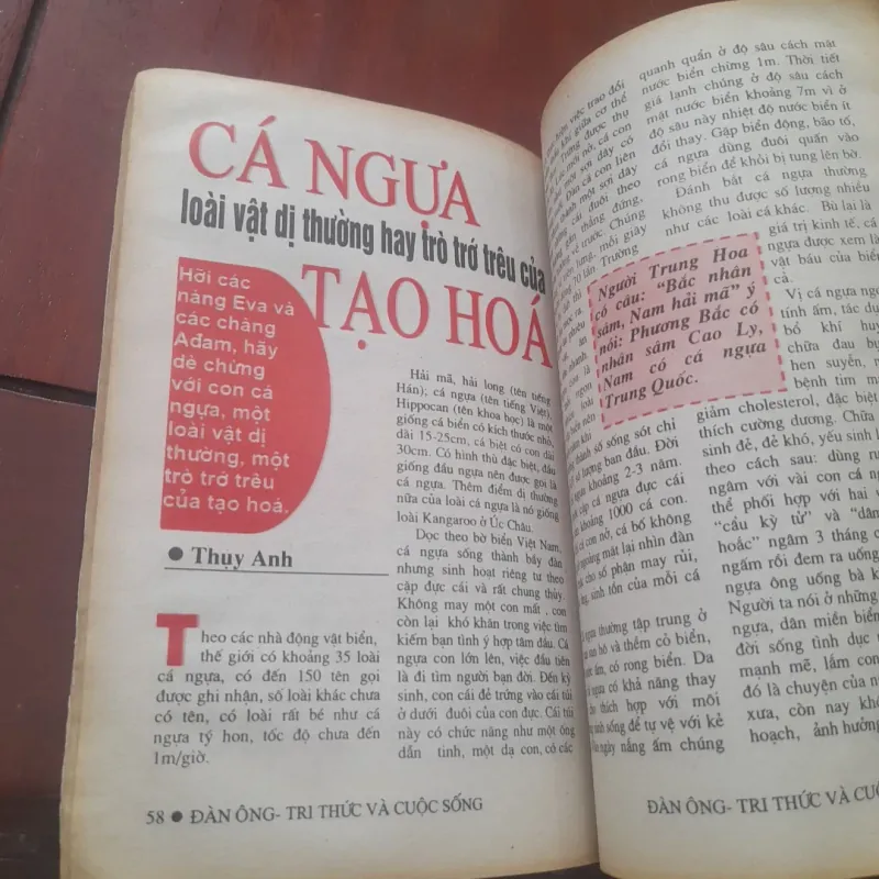 ĐÀN ÔNG, Tri thức & Cuộc sống Xuân Nhâm Ngọ 2002 778843