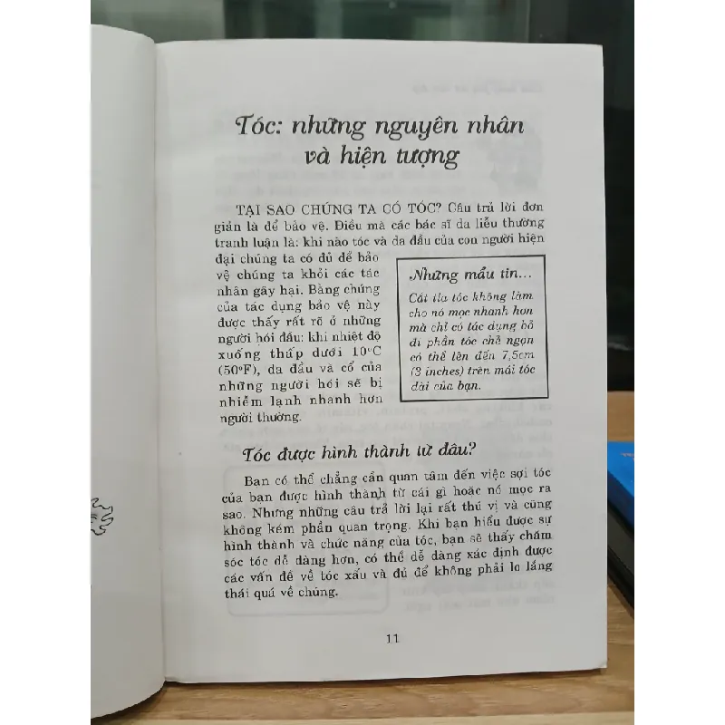 Chăm Sóc Tóc và Trang Điểm (Stephanie Pedersen) 531282