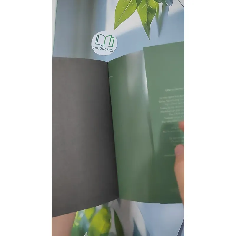 Mùa Hè Năm Ấy - Đặng Huỳnh Mai Anh 798427