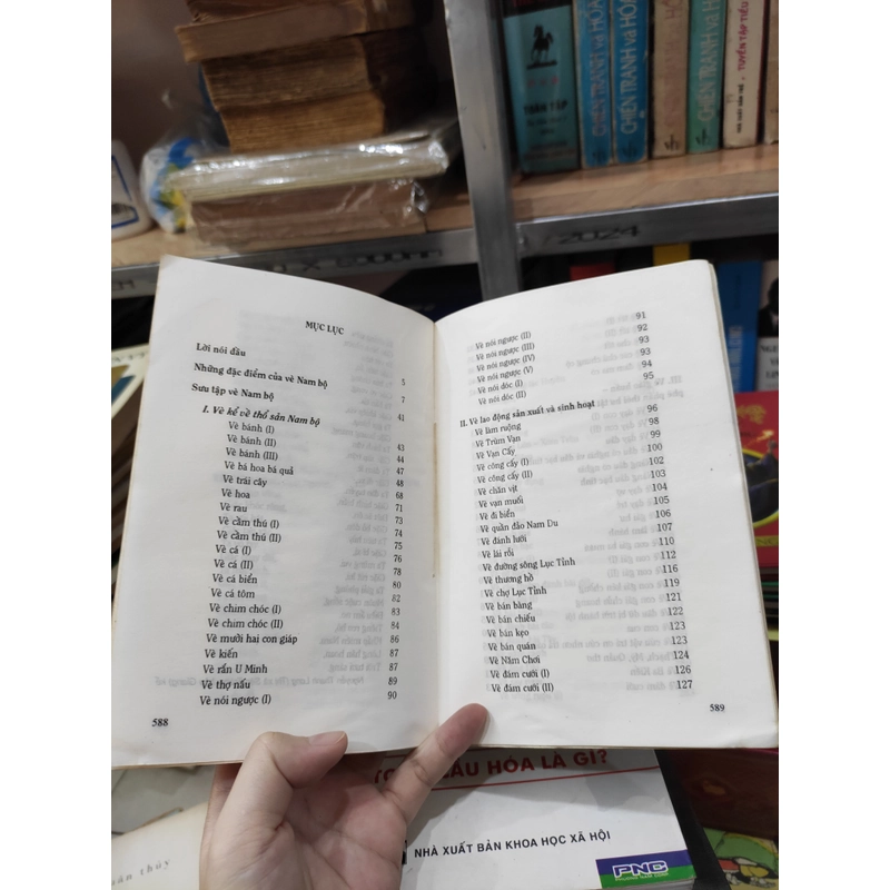 Vè Nam Bộ - Huỳnh Ngọc Trảng 295693