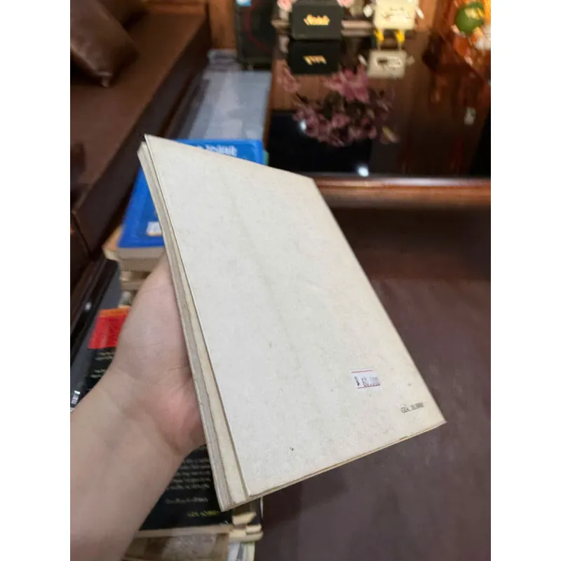 Tây Nguyên cuối thế kỷ XX – Vấn đề dân cư và nguồn nhân lực 976190