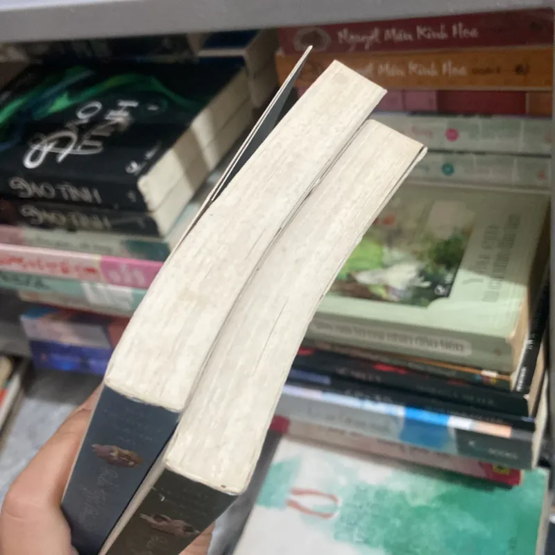 Điều tuyệt vời nhất của thanh xuân - Bát Nguyệt Trường An 961657