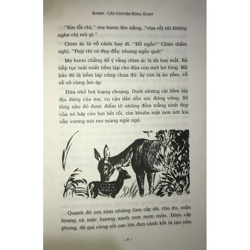 BAMBI - Câu chuyện rừng xanh 752135