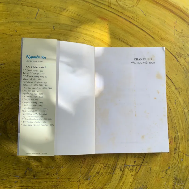 CHÂN DUNG VĂN HỌC VIỆT NAM Tiểu luận- Phê bình - NGUYÊN AN 958026