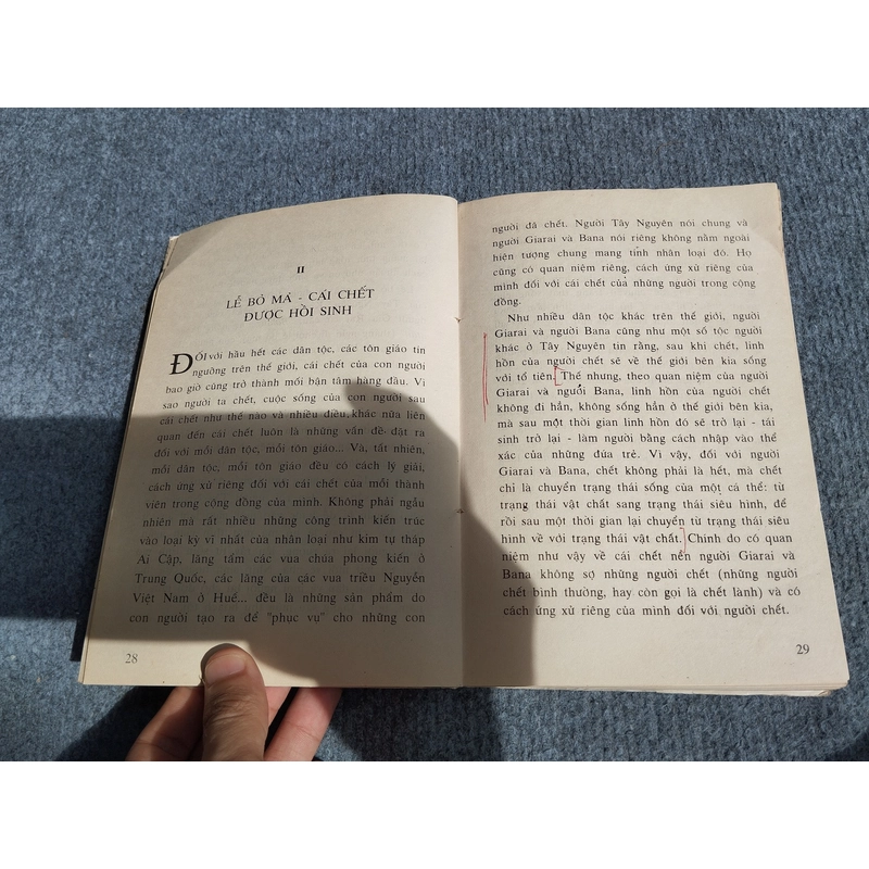 LỄ HỘI BỎ MẢ BẮC TÂY NGUYÊN 540681