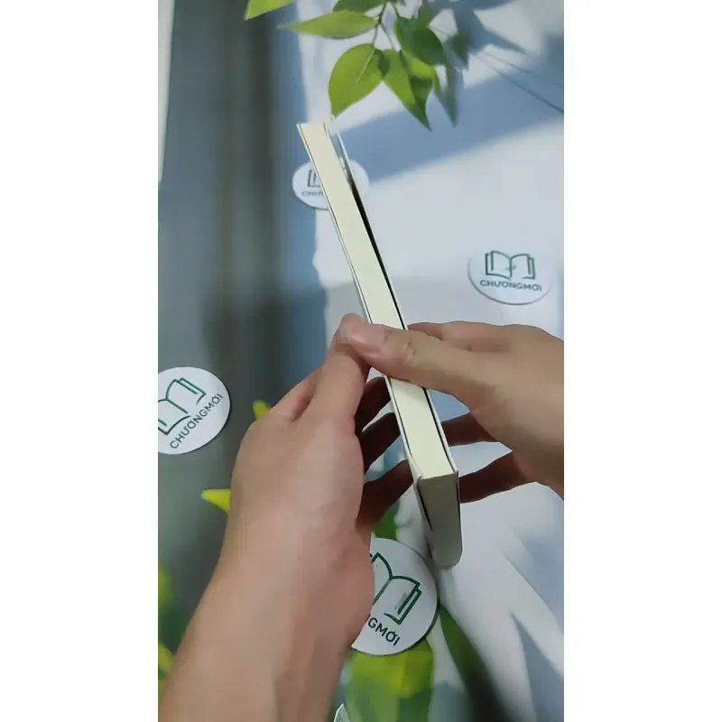 Việt Nam Của Tôi - Những Câu Chuyện Nhận Con Nuôi 705739