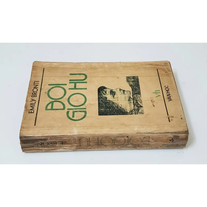 Tác phẩm VH kinh điển Anh: ĐỒI GIÓ HÚ (Emily Bronte) 792987