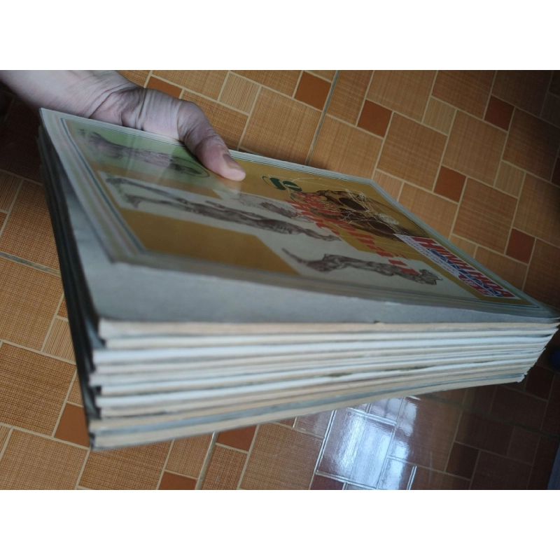 Hình họa căn bản - 2003 ~ 640 trang VĂN HỌC ANTQ2012-145 921797